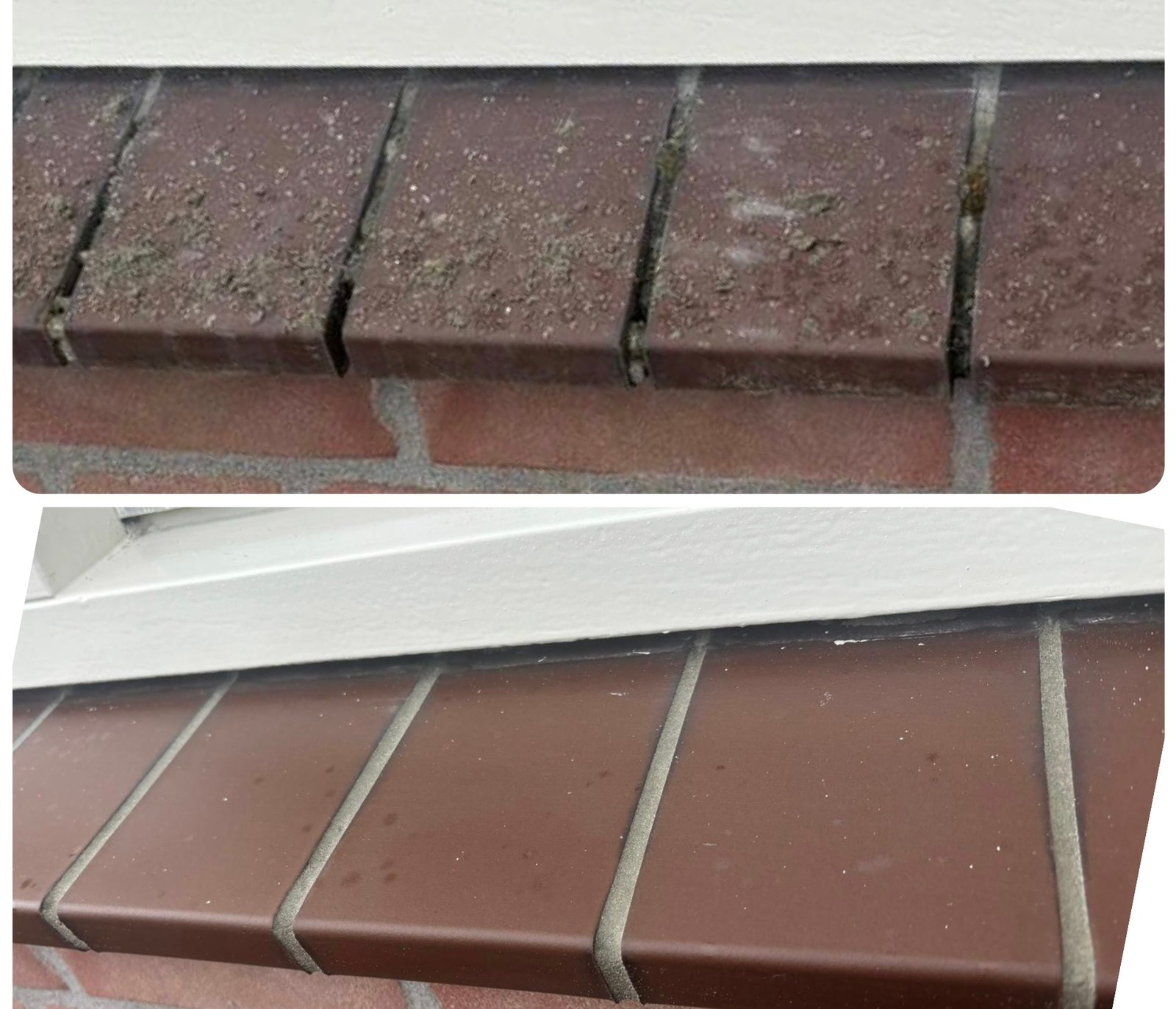 Gevelreiniging van pand in Tilburg door Wassing Diensten B.V.